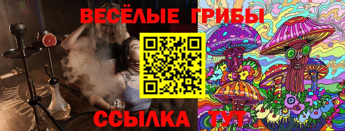 Псилоцибиновые грибы мухоморы Сухой Лог