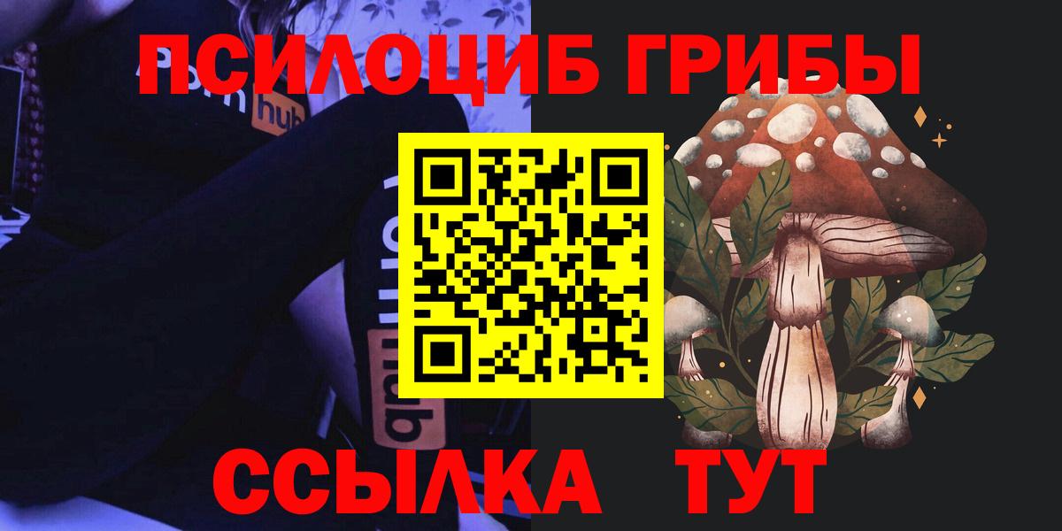 Псилоцибиновые грибы мицелий  Вход с VPN  Сухой Лог 